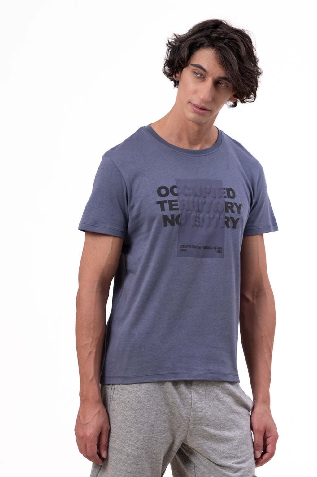 Mens Crew Neck Half Sleeve T-Shirt with Chest Print & Puff Effect Stone Blue