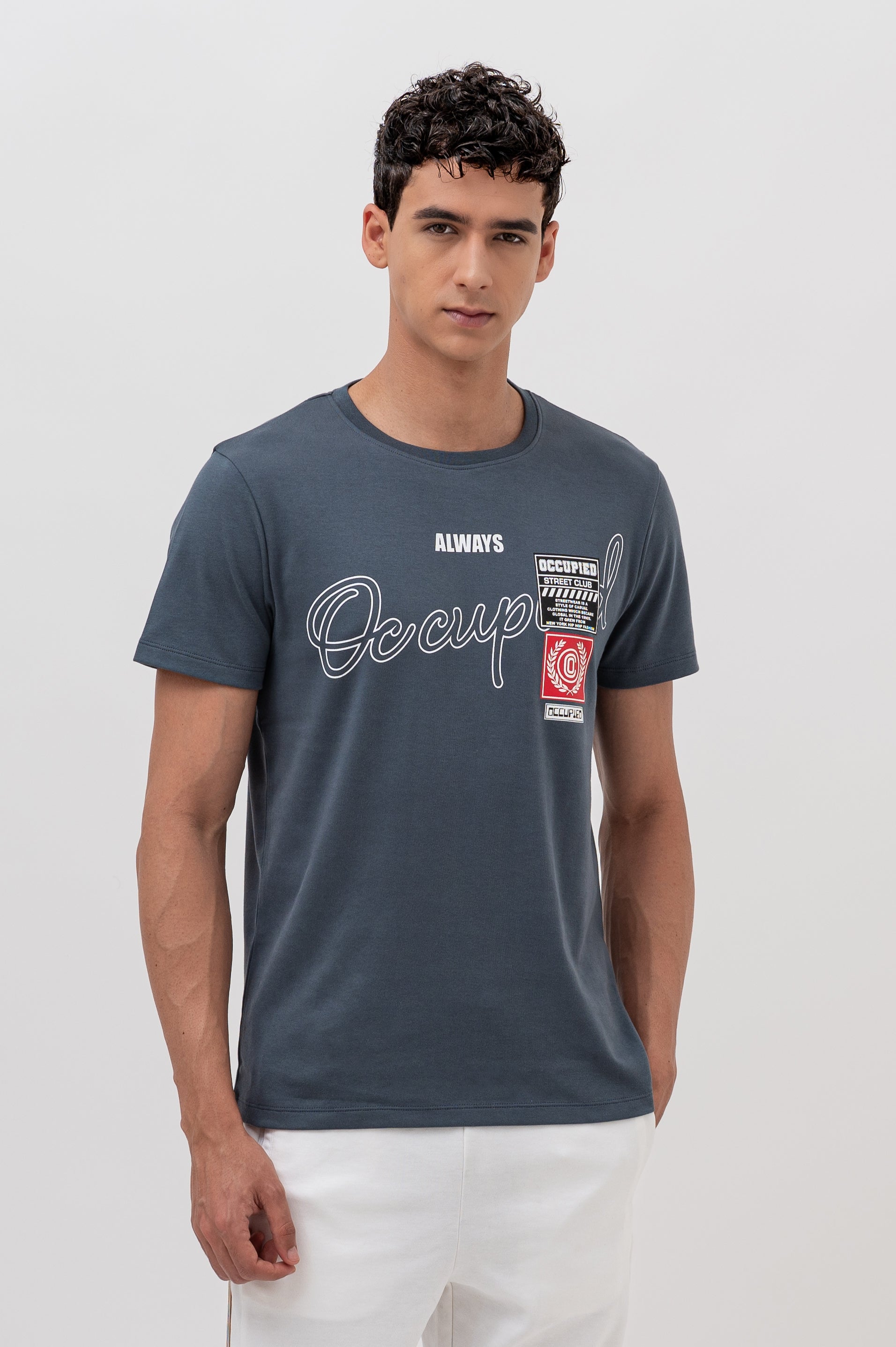 Mens Crew Neck Half Sleeve T-Shirt with Chest Print & Woven Badge Grey
