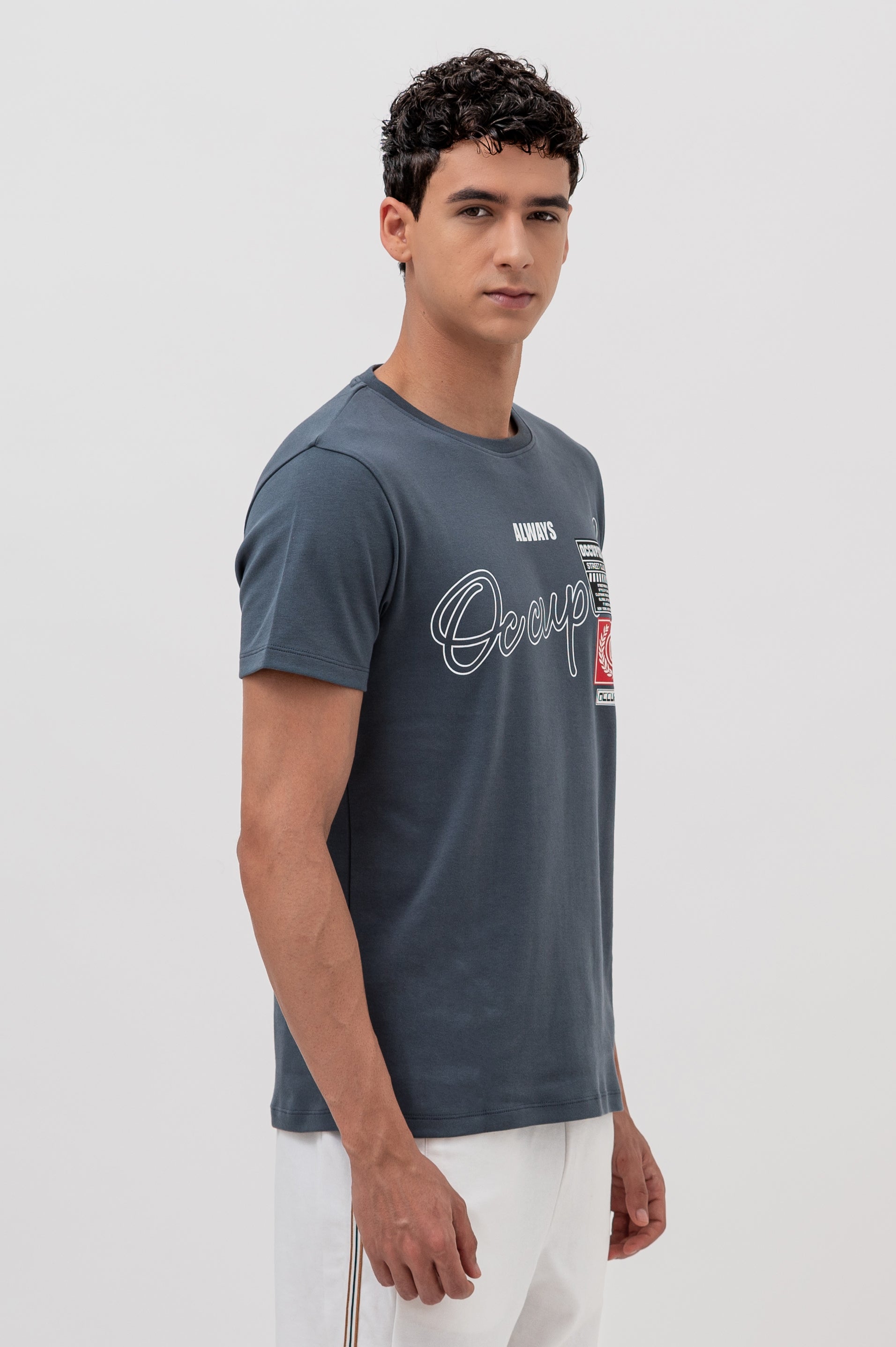 Mens Crew Neck Half Sleeve T-Shirt with Chest Print & Woven Badge Grey