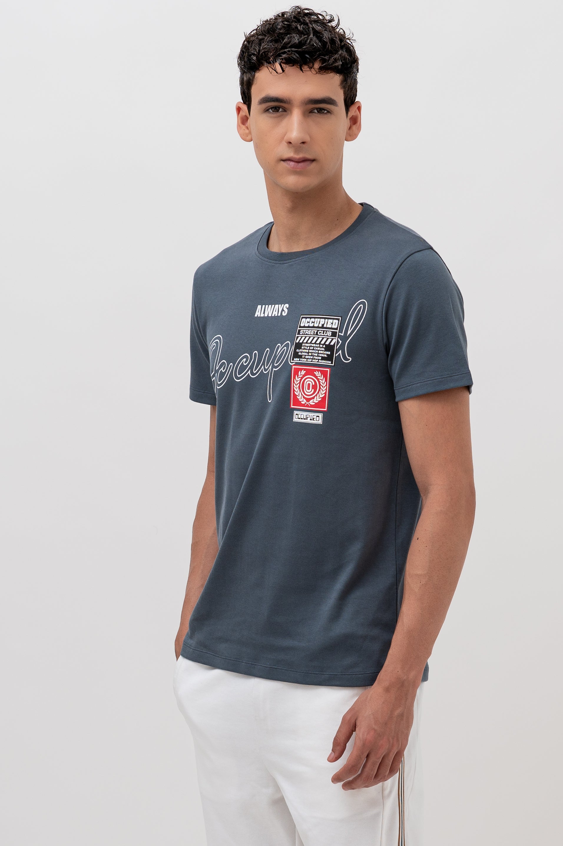 Mens Crew Neck Half Sleeve T-Shirt with Chest Print & Woven Badge Grey