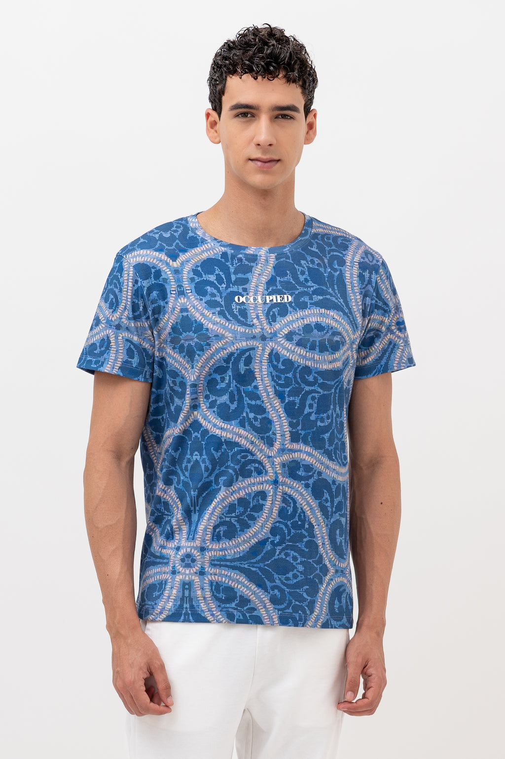 Mens Crew Neck Half Sleeve T-Shirt with Chest Print Blue