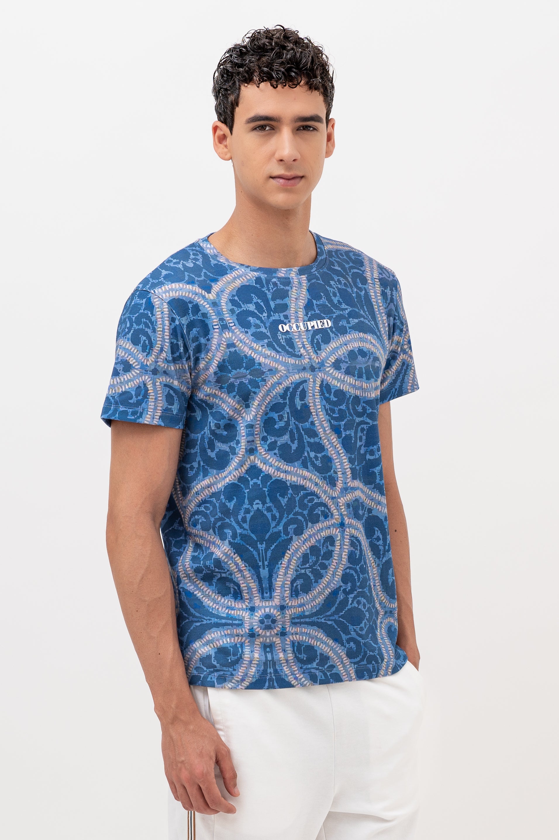 Mens Crew Neck Half Sleeve T-Shirt with Chest Print Blue