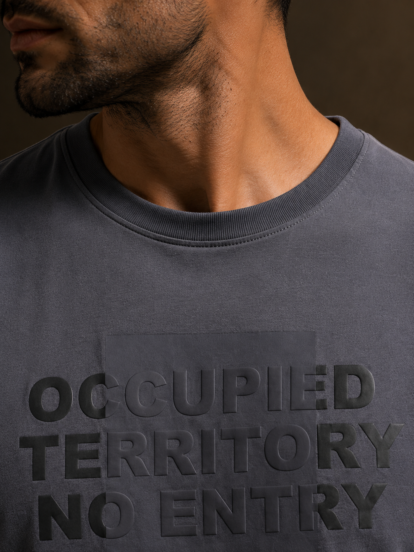 Mens Crew Neck Half Sleeve T-Shirt with Chest Print & Puff Effect Stone Blue